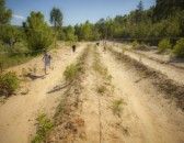 INDY PARC | Parc Aventure à Vagnas - Sud Ardèche