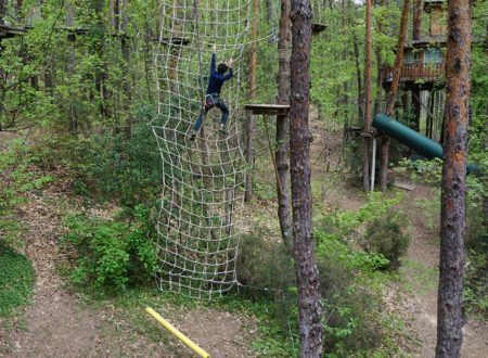 Tree climbing - Indy Aventure course
