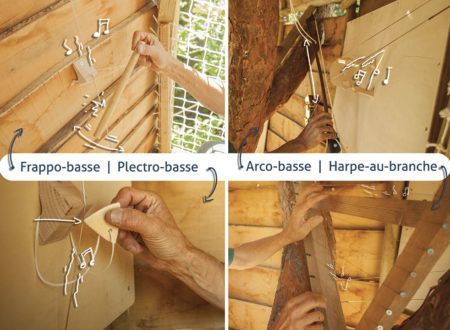 Le Bois des Musiciens - Frappo, Plectro et Arco-basse - Harpe aux branches