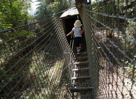 Adventure garden