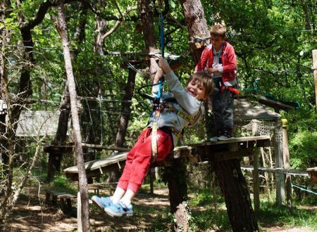 Tree climbing - Indy Pitchoun course
