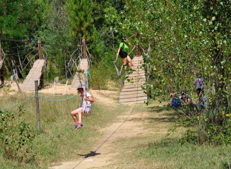 Zip lines on the ground